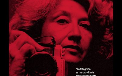 Cine en democracia, 40 años